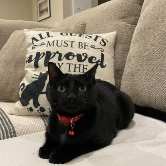 Meet your Posher, Leslie - Picture 3 of 3